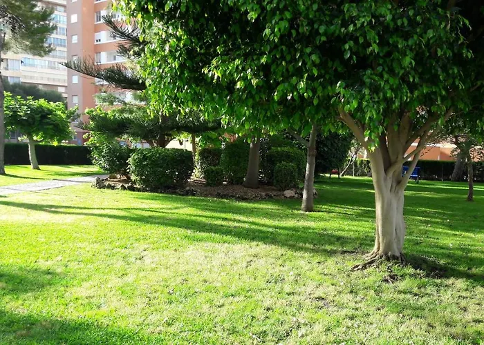 Edificio Provima B 5 *