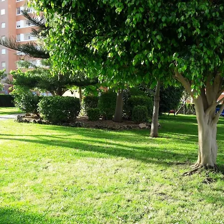 Edificio Provima B 5 *